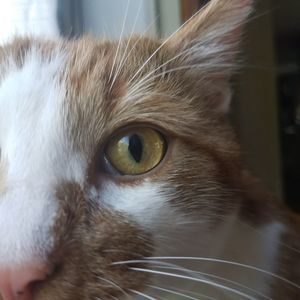 Meet your Posher, Lily